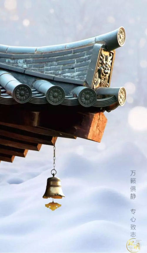 执着的生命是最美丽的
