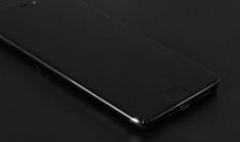 小灰和小米的爱好