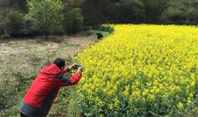 乡间的春夏秋冬