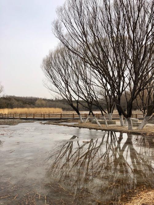 游览早春河河公园