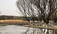 游早春和合公园