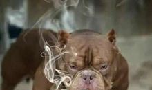 那一次我悲悔万分