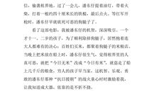 闪闪的红星读后感400字