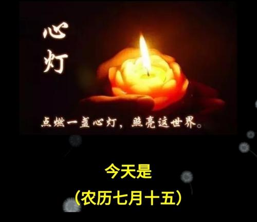 我是交通信号灯