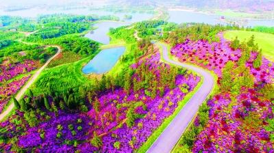 春天的银杏湖