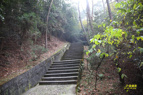 游溪口江母墓