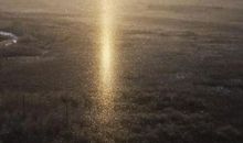 音乐也是一种养料