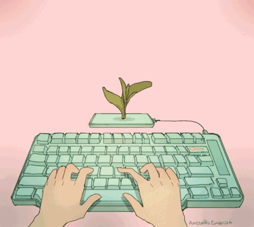 独立生活一周