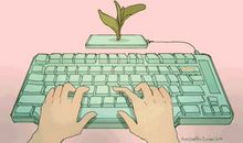 独立生活一星期