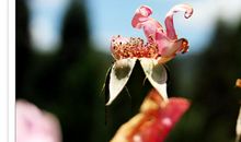 残缺随时间逝去