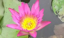 华南植物园一天游