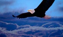 都是贪睡惹得祸