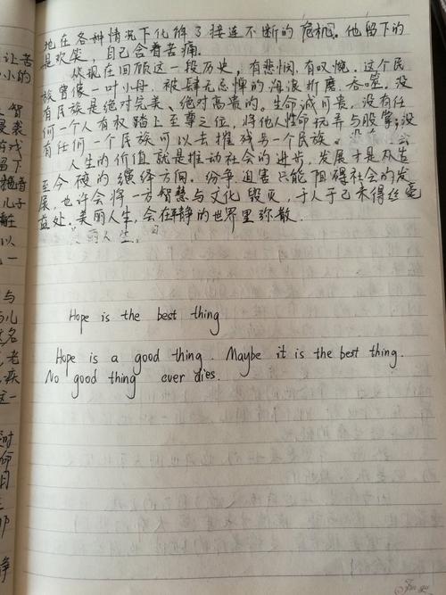 看完我的生活