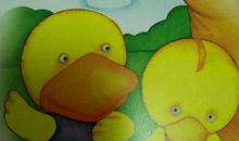 小鸭和小鸡比本领