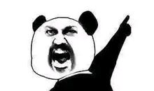 我的老师是“熊猫”