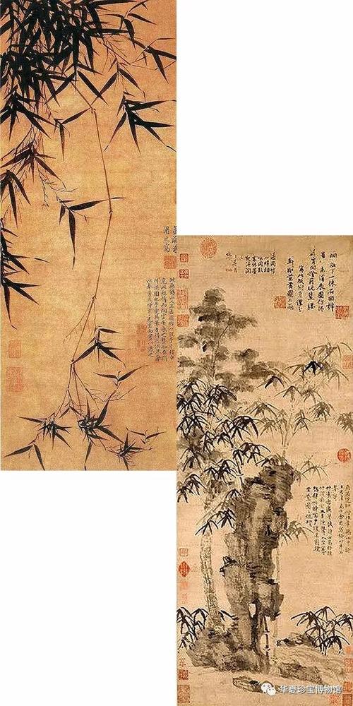 竹子跟你一样坚强