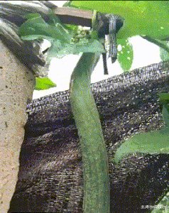那一刻我醒了