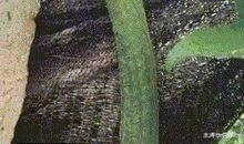 那一刻，我醒悟了