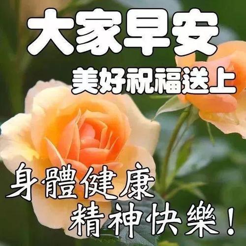 我今年春天学会了自律