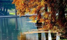 昔日的小河去哪了