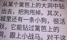 读《小战马》后感