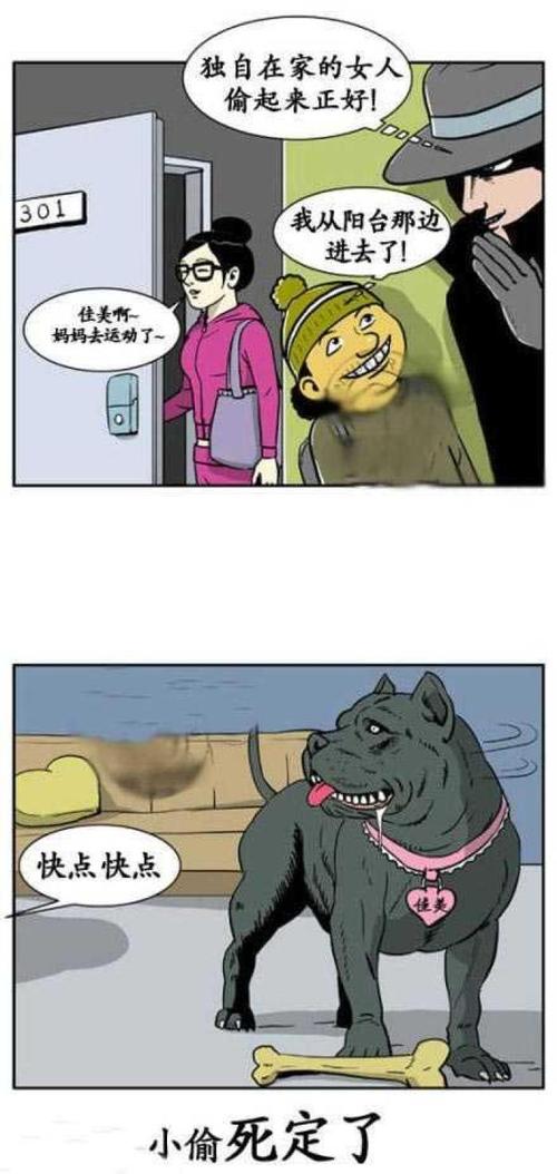 小偷来了