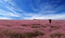 无私的老师——大自然