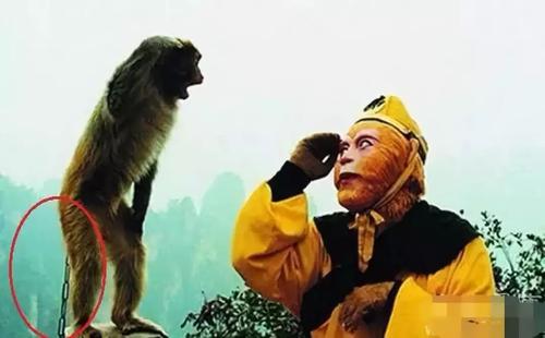 美猴王让我去他家