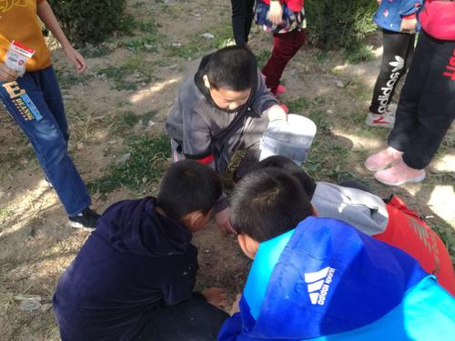 童年时代的乐趣，抓住蚱hopper