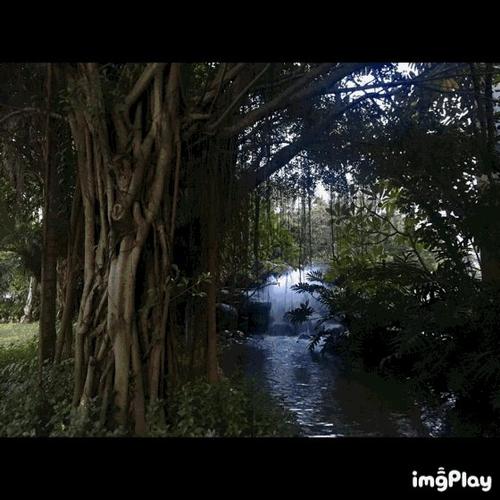 福