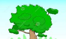 大树睡觉了读后感