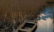 我努力读懂古诗词