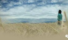 我努力读懂故乡的泥土