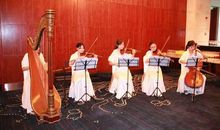 酸甜苦辣四重奏