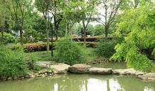 不一样的公园，不一样的美景