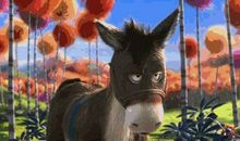 一次深刻的体验