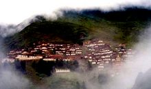 那份不一样真情