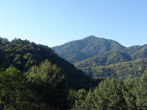 东台山