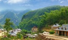 我们班的“土豆”