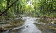 清澈的小溪去哪了