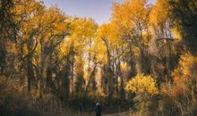 为爱打开心灵的窗扉