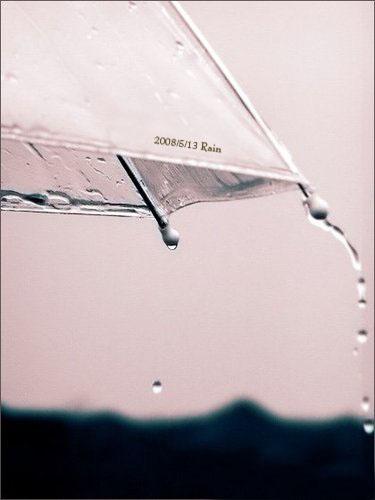在雨中长大