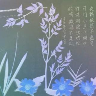 看完凉爽的夏夜之后