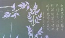 夏夜追凉读后感