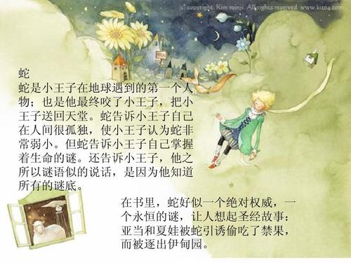 我爱“小王子”
