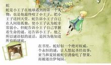 我爱《小王子》