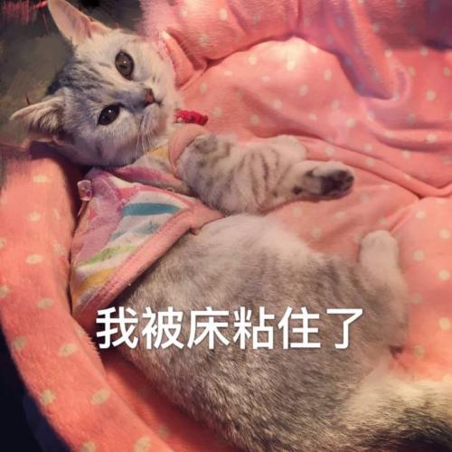 我不想起床