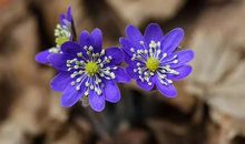 就这样顺其自然地长大