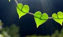 珍爱自然资源，共营生命绿色