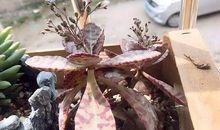 生命中温暖的味道